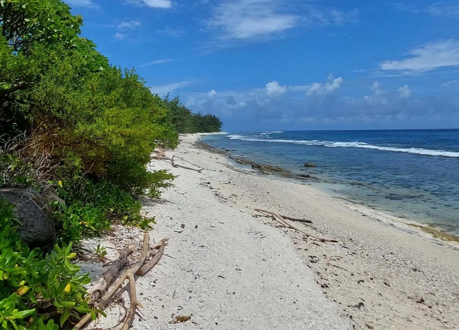 Fare Mama Fenua Plage Baleines Moorea Temae Teavaro 0*,  French Polynesia