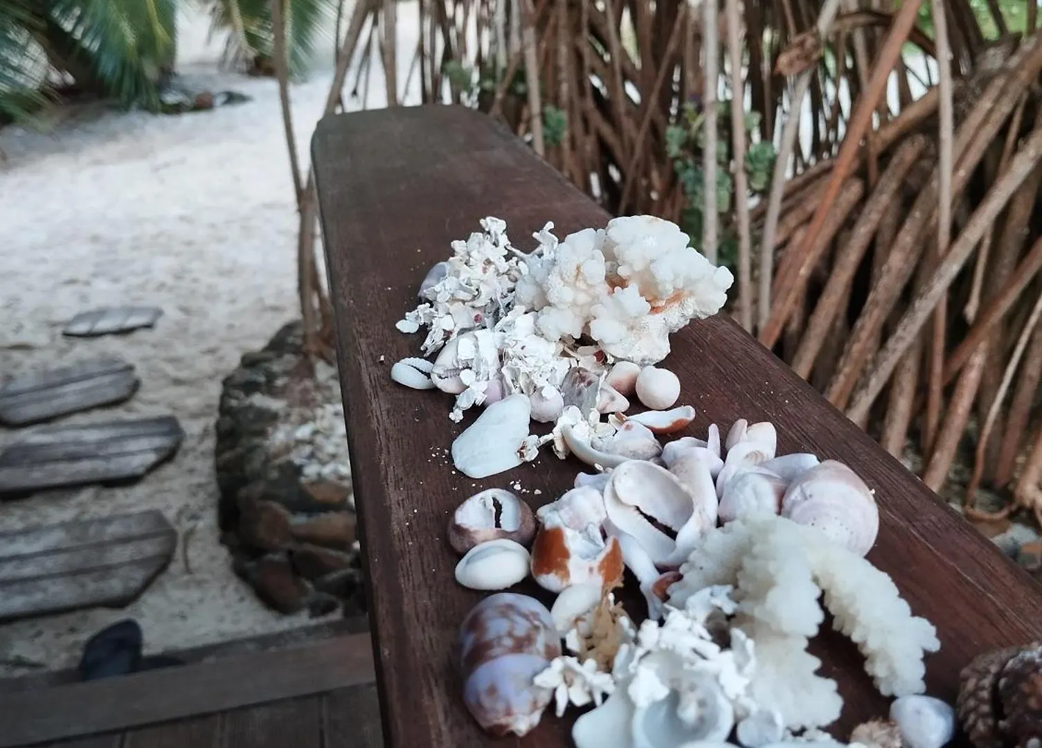 Fare Mama Fenua Plage Baleines Moorea Temae Teavaro Holiday home