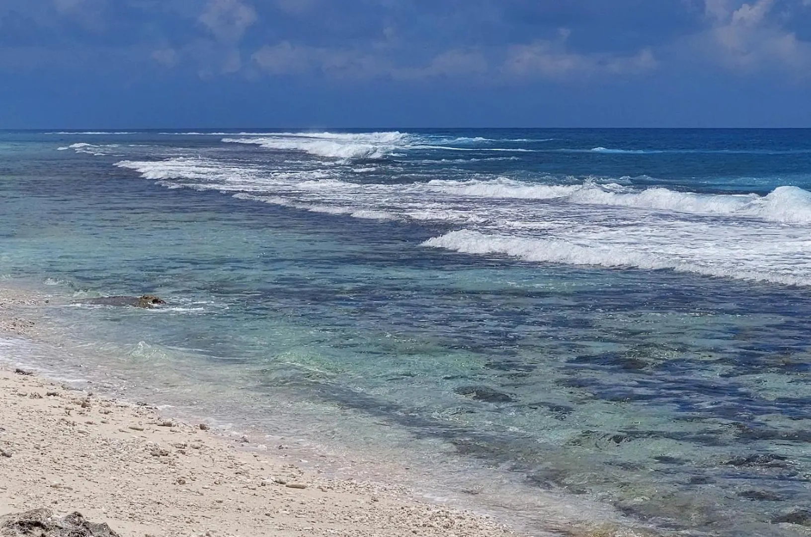 Fare Mama Fenua Plage Baleines Moorea Temae Teavaro Holiday home
