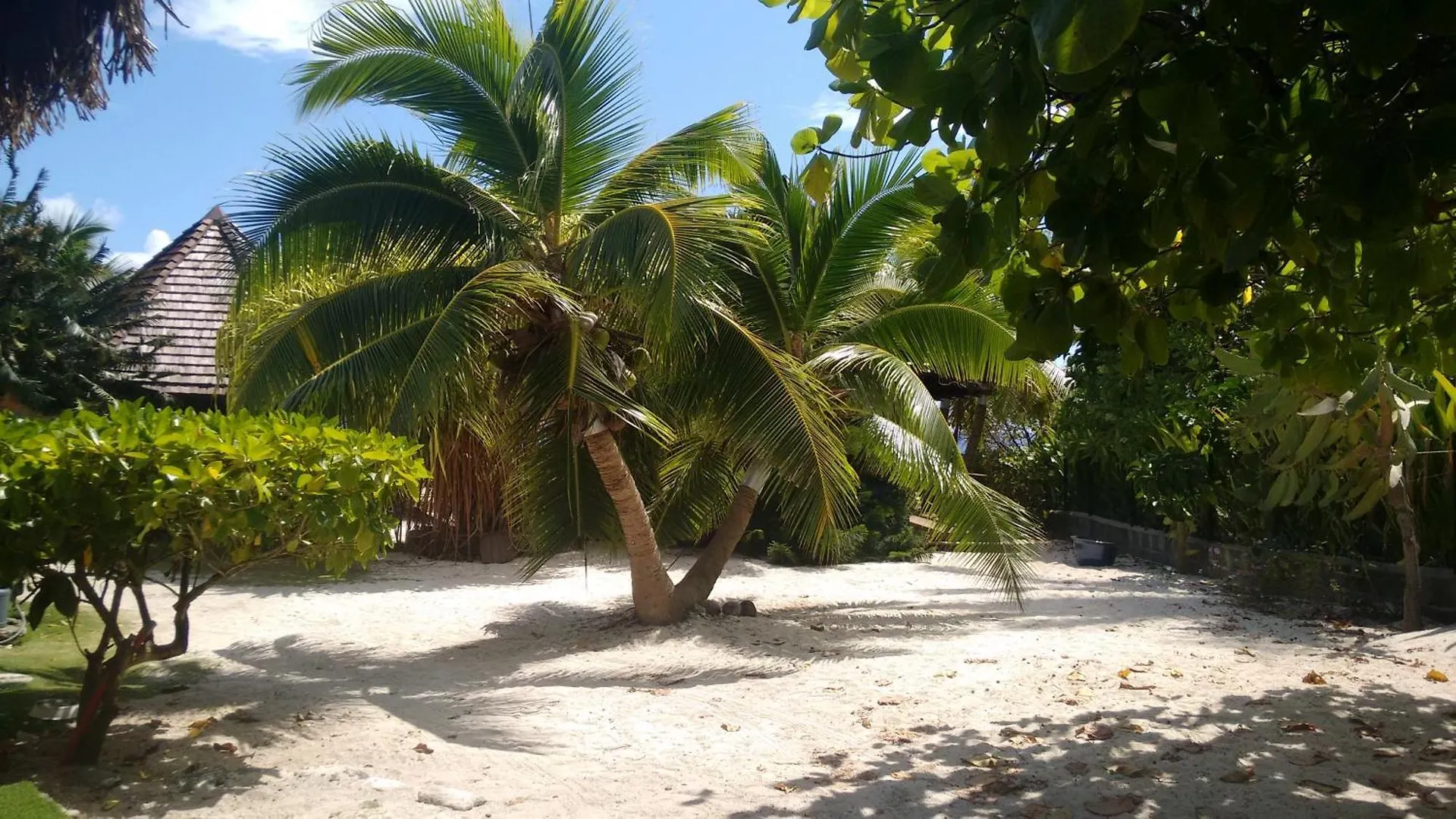 Fare Mama Fenua Plage Baleines Moorea Temae Teavaro