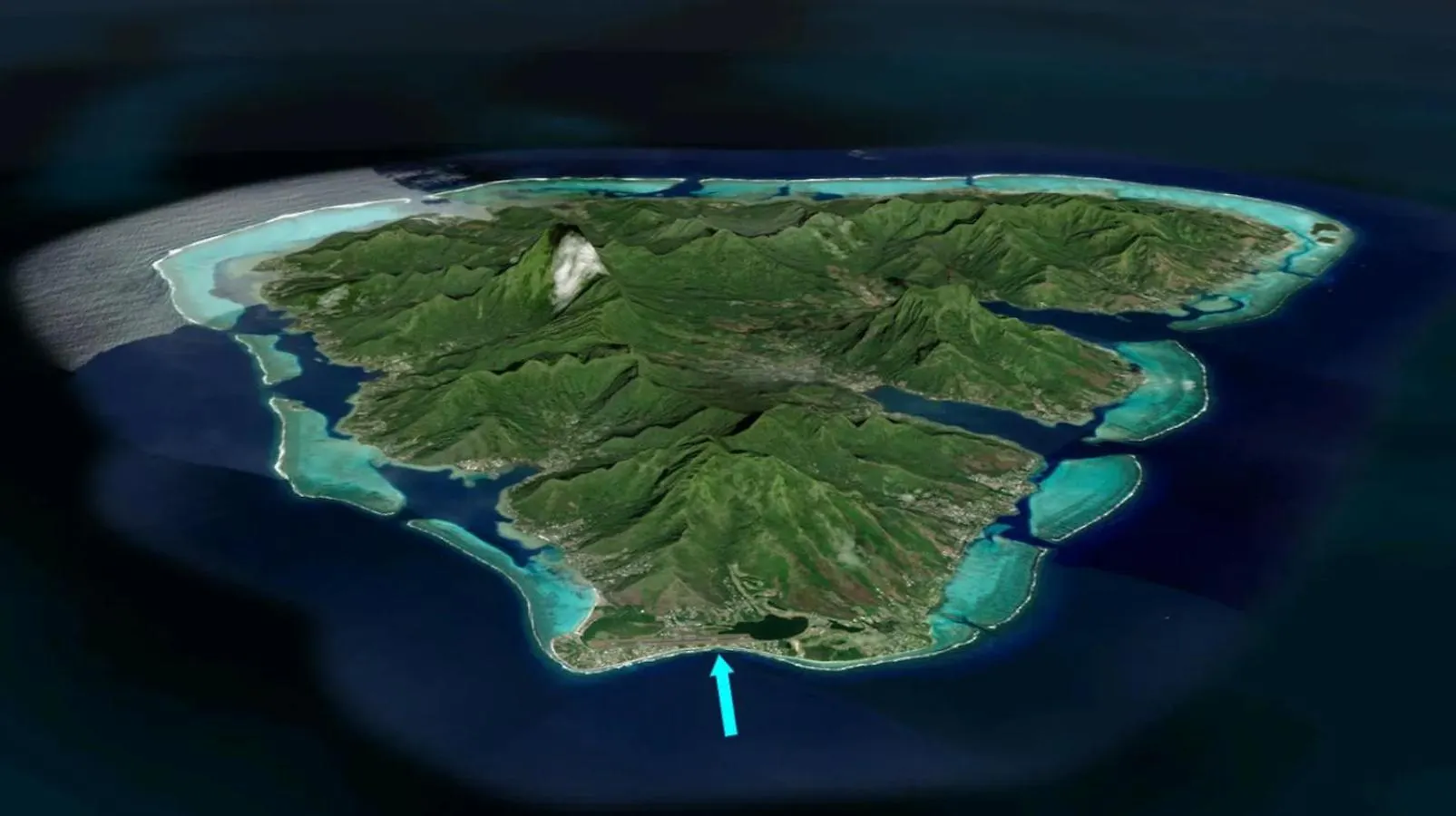Fare Mama Fenua Plage Baleines Moorea Temae Teavaro